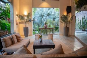 The White Palms of Nosara