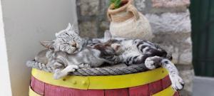 Boutique Home Saltaragazza