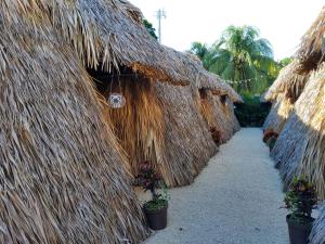 Hakuna Matata Glamping