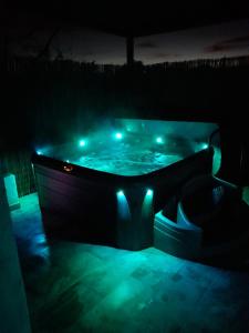 Acienne bergerie cévenole avec spa