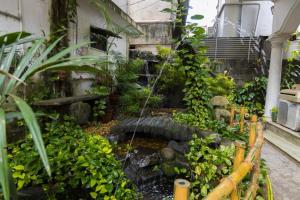 Kichu’s house