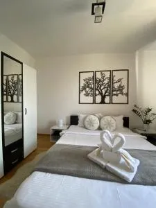 The Home Feeling - Saschiz