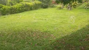 Finca Villa Tuto - 布埃纳文图拉