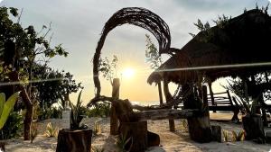 Experiencia Casa Blanca