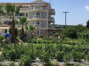 Hotel Villa Basil Zakynthos Greece