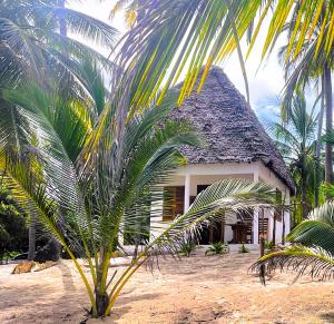 Jumamosi Beach Villa