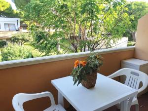 IssTravel, Holiday Homes in Marina di Bibbona from 400 to 900 meters from the sea, apartments 6 beds with private outdoor area