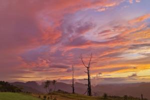 Summit View 3bhk by Roamhome