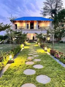 Jewel of Jungle - Rewa