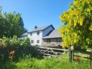 Pen Y Braich Cottage - Llanfihangel-yng-Ngwynfa