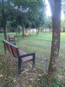 Hectors Place at SMDC Vine Residences