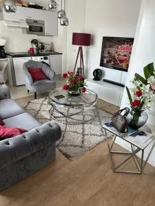 T2 proche stade de Frace Paris très calme design & Parking privé - Bobigny