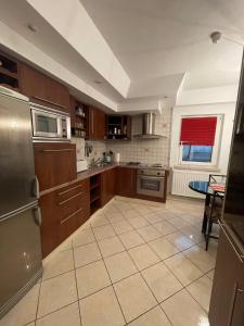 Apartament spațios în Timișoara