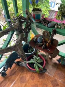 Posada milagro de Dios