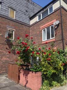 Central and peaceful room with your own bathroom
