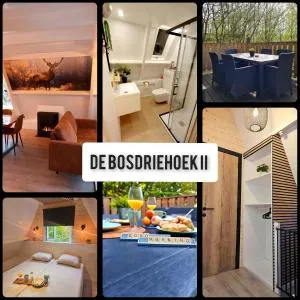 de bosdriehoek II - Petit Han