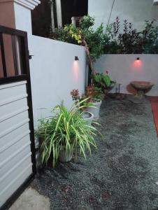 Great yeheni villa