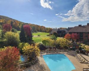 Cozy Mountain View Condo