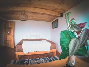 Eagles Nest Atitlán