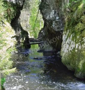 FeWo Bukowina - Gebenstorf