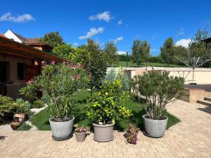 Becehegyi Vendégház