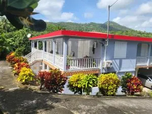 Bel korossol - Fond Gens Libres