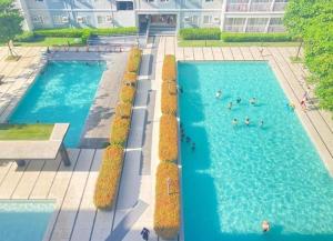 Trees Residences Staycation