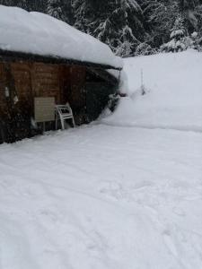 Chalet Chardon