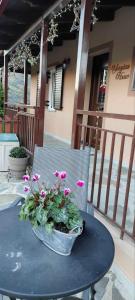 Yiayias House Tzoumerka