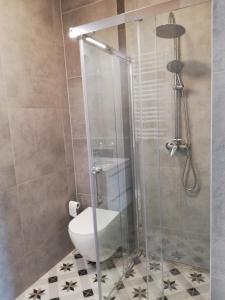 Apartament Olszynowy Gaj 4