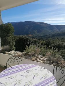 La Plume du Ventoux studio