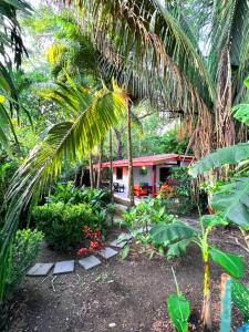 obrázek - Las Plumas Jardin de Cabuya