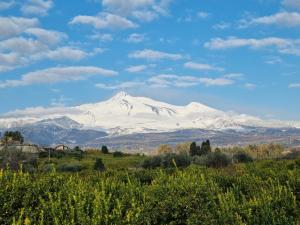 Le Dimore del Corso Acireale I - Sicily Stay, fra Catania, Taormina, il Mare e lEtna