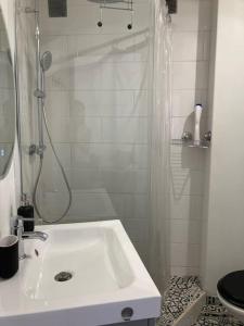 T3 centre ville Historique