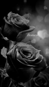 Home Angelo Custode
