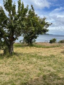 Cabaña 4 personas en Calen Rural, Chiloé