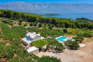 Unique villa in olive field with salted swimming pool-Villa Frida