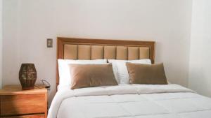 OCASSO JARDIN APARTAMENTO GALLITO DE ROCA