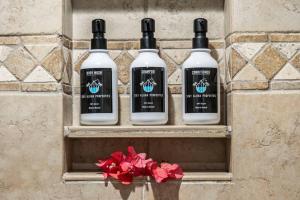 Papakea E206- Updated Papakea oceanview condo,the amenities