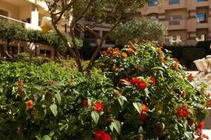 Florenza Khamsin - sea view free Wi-Fi