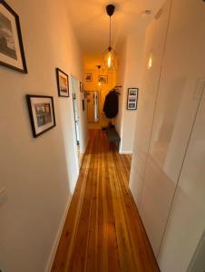 Cosmopolitan Comfort Stylish Flat