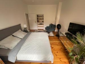 Cosmopolitan Comfort Stylish Flat