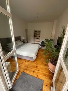 Cosmopolitan Comfort Stylish Flat