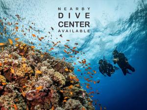 Mansuar Raja Ampat Bungalows