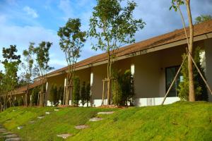 PASSA ผัสสะ Tea Plantation @Mae On