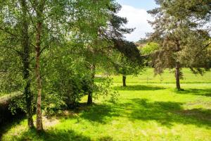 Villas Maison forestiere : photos des chambres