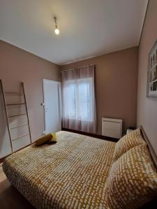 Appartements Le Lotus - Centre - 4pers - Reve au Mans : photos des chambres