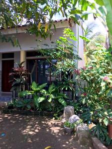 Adi Guest house