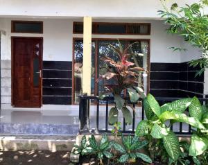 Adi Guest house