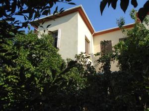Bed in 6-Bed Dormitory Room room in Lotus Garden Hostel Izmir